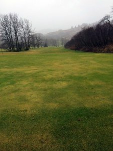 Yellow patches on the fairway.